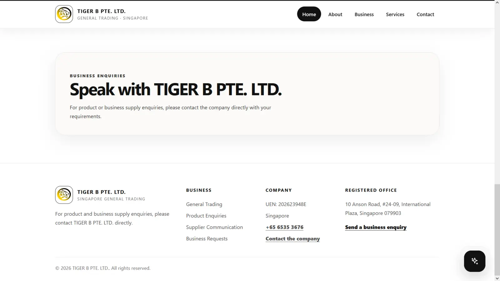 TIGER B PTE. LTD. website project screenshot 5