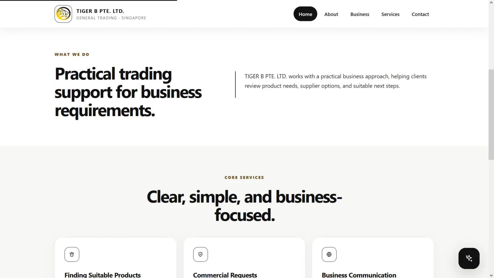 TIGER B PTE. LTD. website project screenshot 2