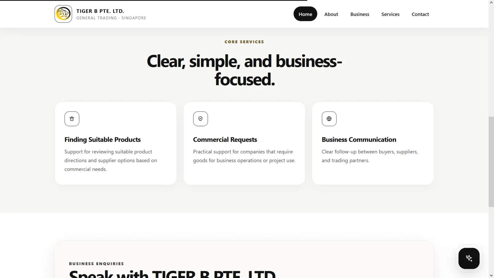 TIGER B PTE. LTD. website project screenshot 3
