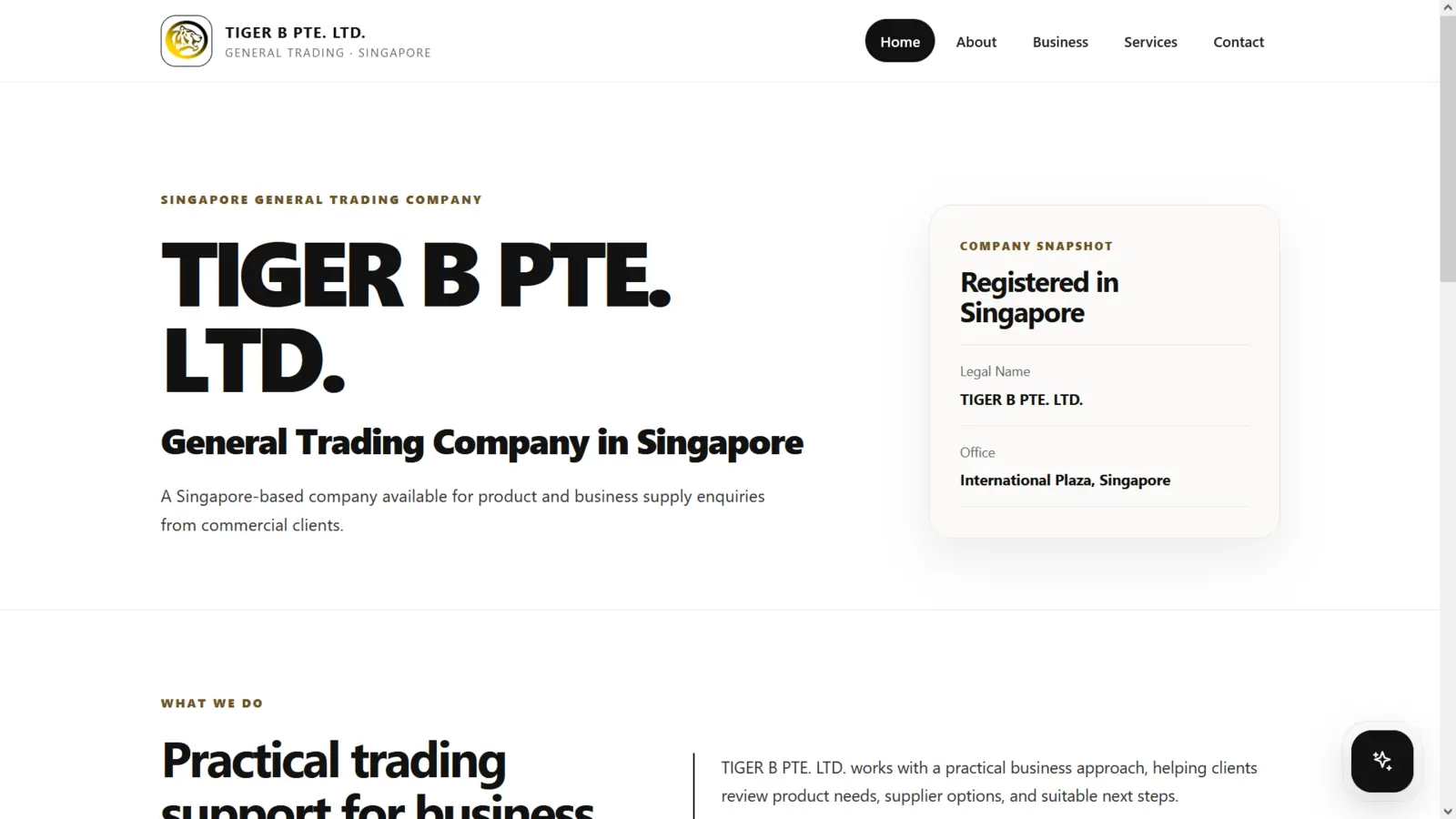 TIGER B PTE. LTD. website project preview