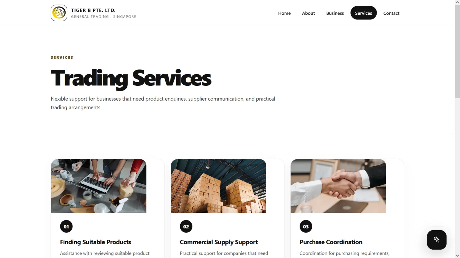 TIGER B PTE. LTD. website project screenshot 4